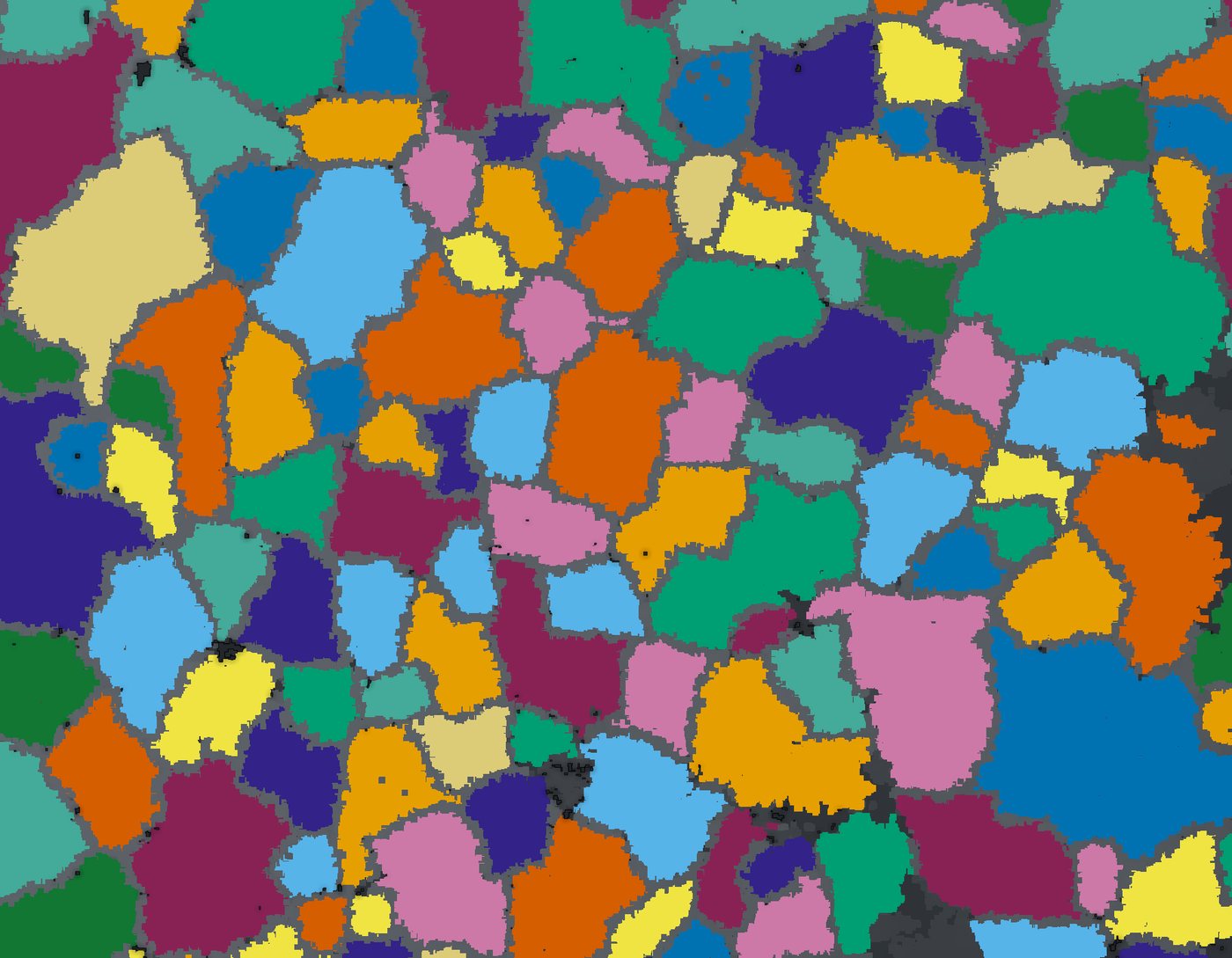 Top-down view of segmented crowns, each crown in its own color, with gray rims between crowns.