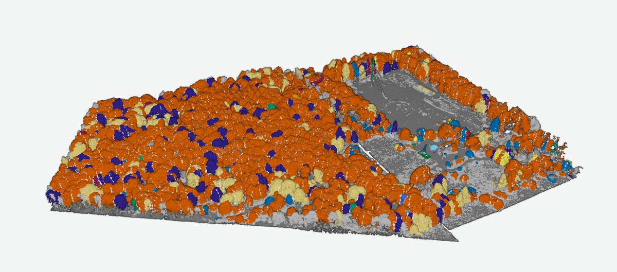 3D view of the Benton Hollow tract colored by estimated species, mostly orange for red maple with blue, tan and dark-blue crowns scattered through it.