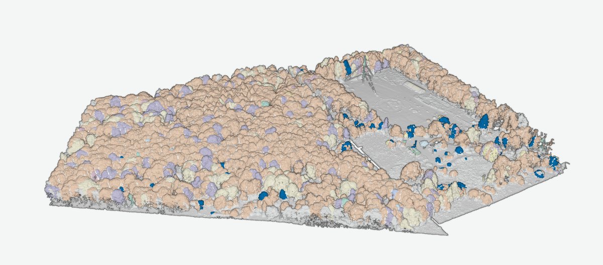 3D view of the Benton Hollow tract on a light background with Norway spruce trees highlighted in blue and every other tree faded to pale tan and lavender.